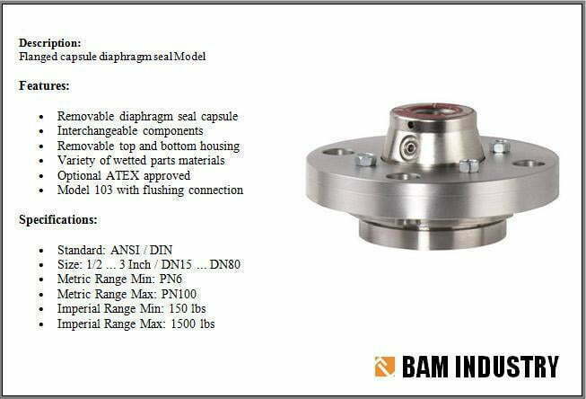 10.Diaphragm Seal w
